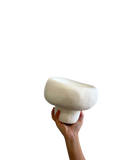Mushroom Bowl