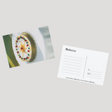 trobat x trobar postcards