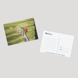 trobat x trobar postcards