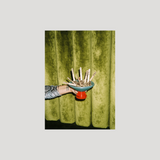 trobat x trobar postcards