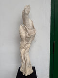 Abertura
