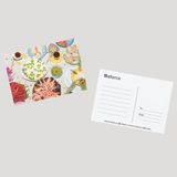 trobat x trobar postcards