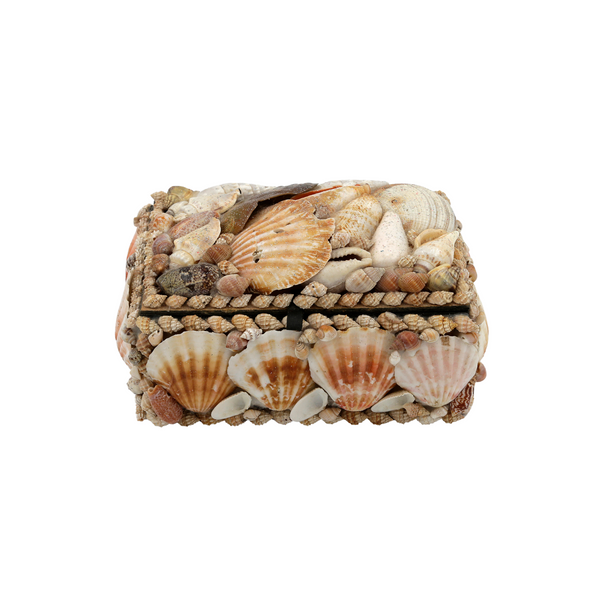 Seashell Treasure Box