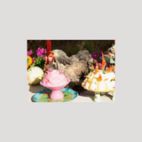 trobat x trobar postcards