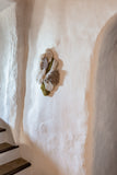 Chrysalis