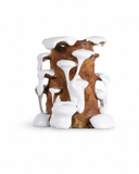Cylinder Flow White