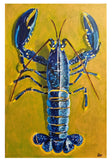 European Lobster I