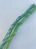 Glass Straw Pairs