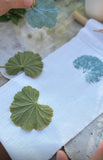 The Art Of The Find: From Nature to Textile Workshop by Textile Artist Stephie.M