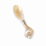 Mother of Pearl Seashell Teaspoon
