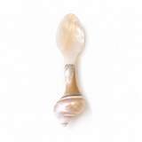 Mother of Pearl Seashell Teaspoon