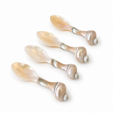 Mother of Pearl Seashell Teaspoon