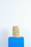 Soft Yellow Doodle Vessel