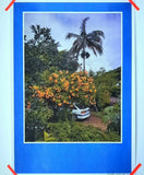White car in the jungle, La Reunion