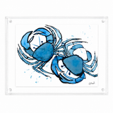 Cangrejo azul