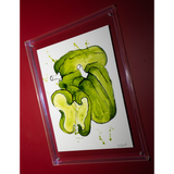 Peperone Verde