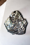 Cluster #1