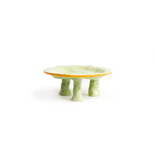 Legs Plate (small)