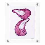 Radicchio